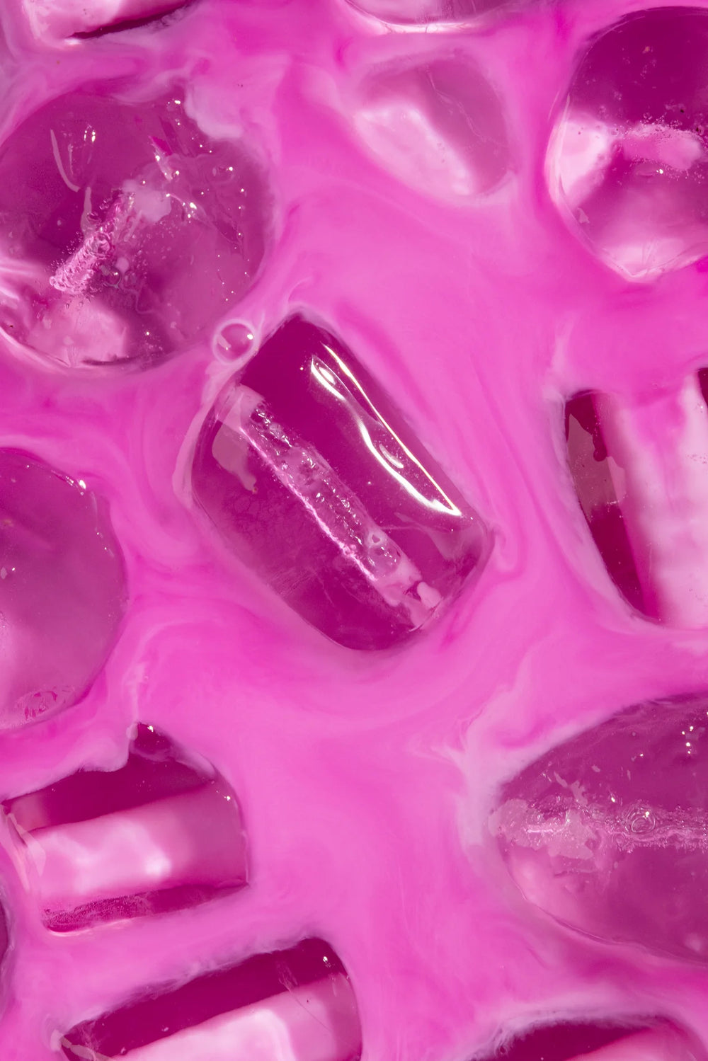 Matcha Ninja Dragon Fruit Powder 70g