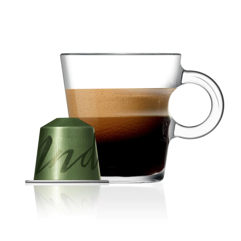 Nespresso Master Origin India