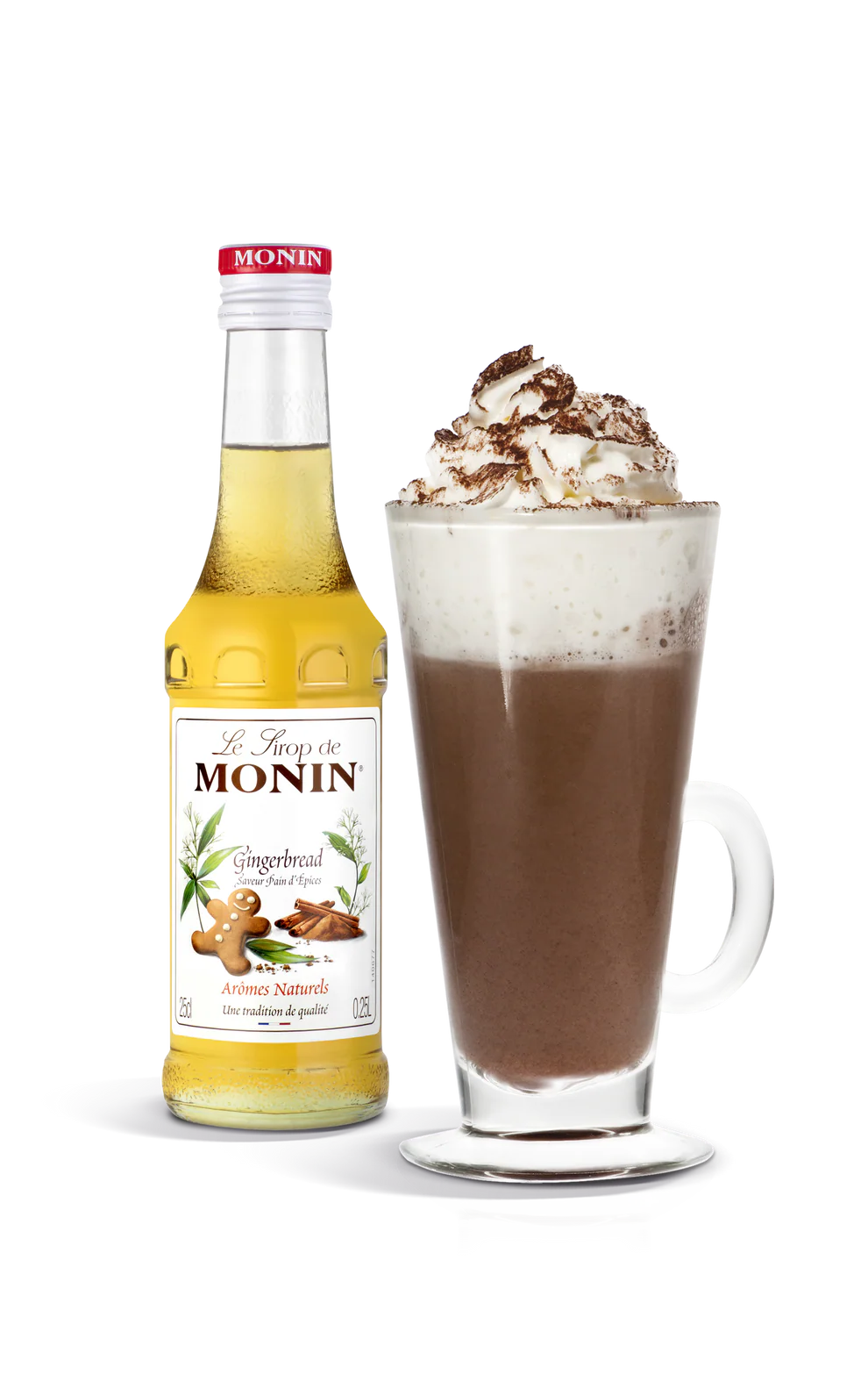 Monin gingerbread syrup bottle next to a glass of hot chocolate with whipped cream on a white background